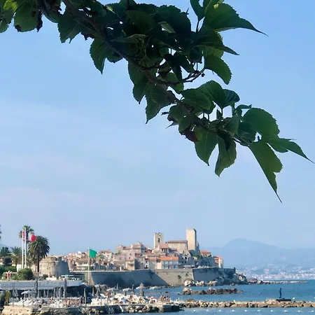 Centre Beau T3 6 P Terrasse Wifi Pkg Clim Antibes