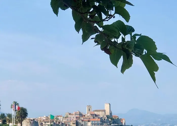 Centre, Lumineux T3 6 Pers Terrasse Wifi Pkg Clim Αντίμπ