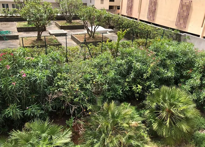 Centre, Lumineux T3 6 Pers Terrasse Wifi Pkg Clim * Αντίμπ