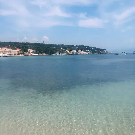 Centre, Lumineux T3 6 Pers Terrasse Wifi Pkg Clim Apartament